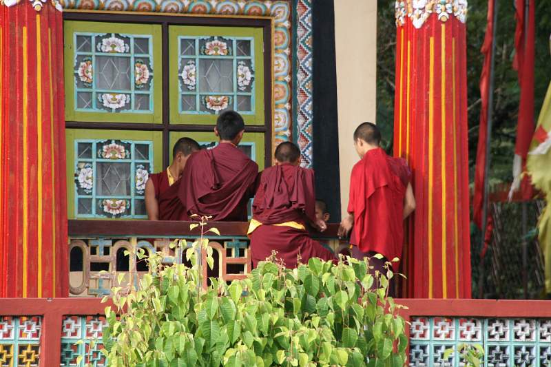 India & Nepal 2011 - 0447